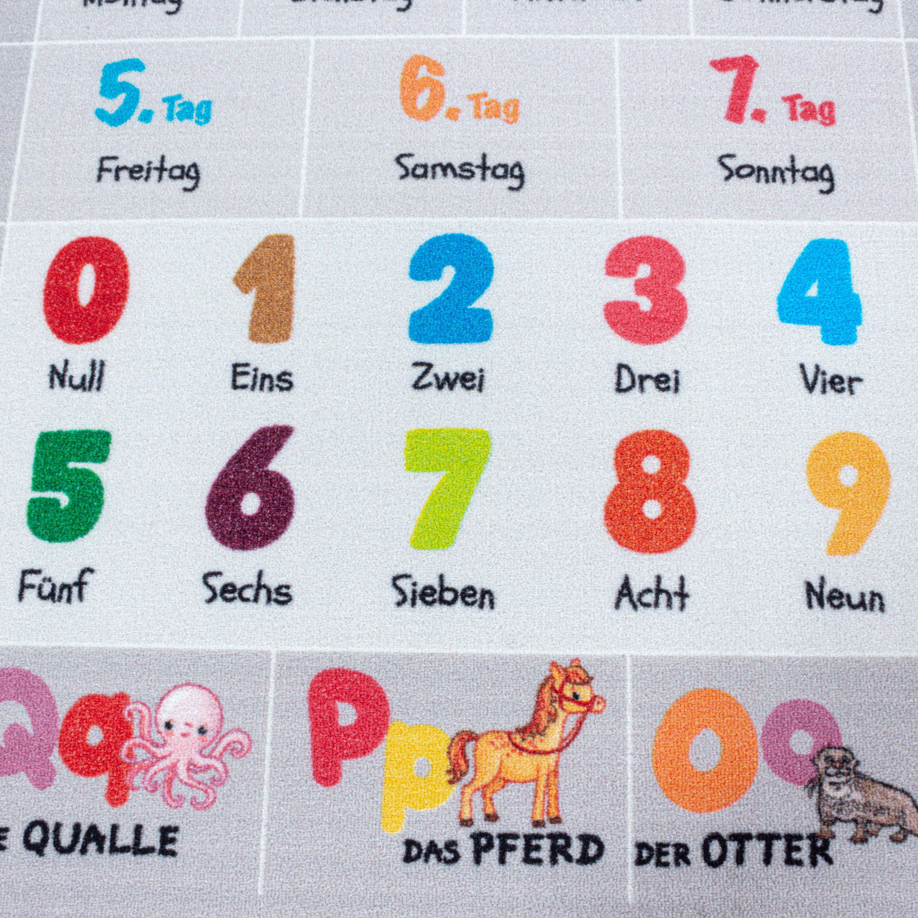 Kurzflor Kinderteppich Kinderzimmer Teppich Buchstaben Zahlen Jahreszeiten Grau
